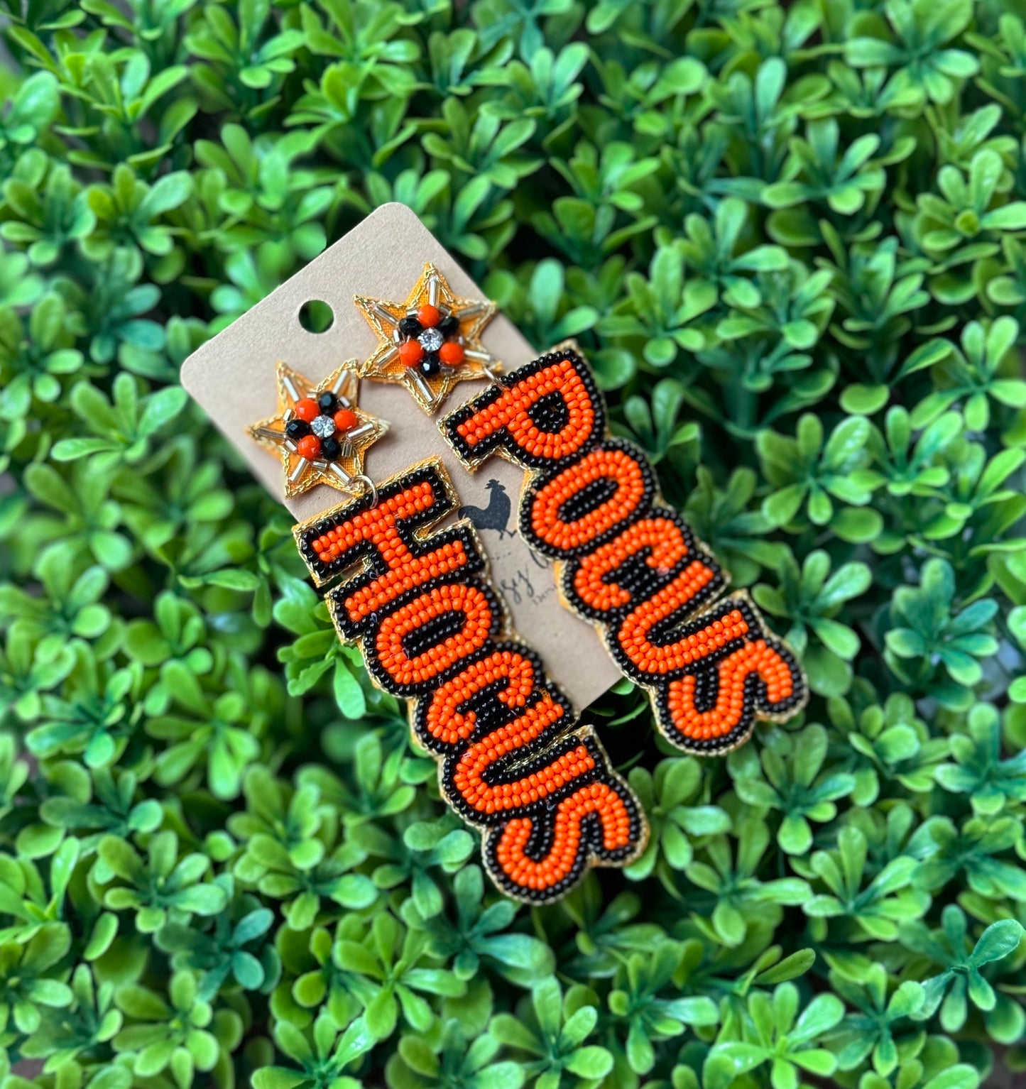 Seeded Hocus Pocus Earrings