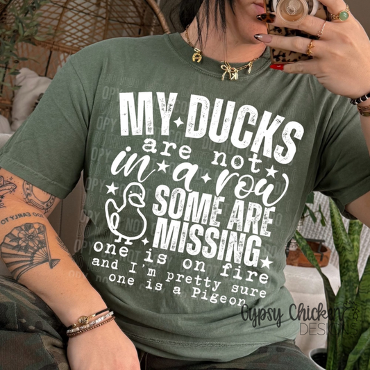 My Ducks Are Not In A Row