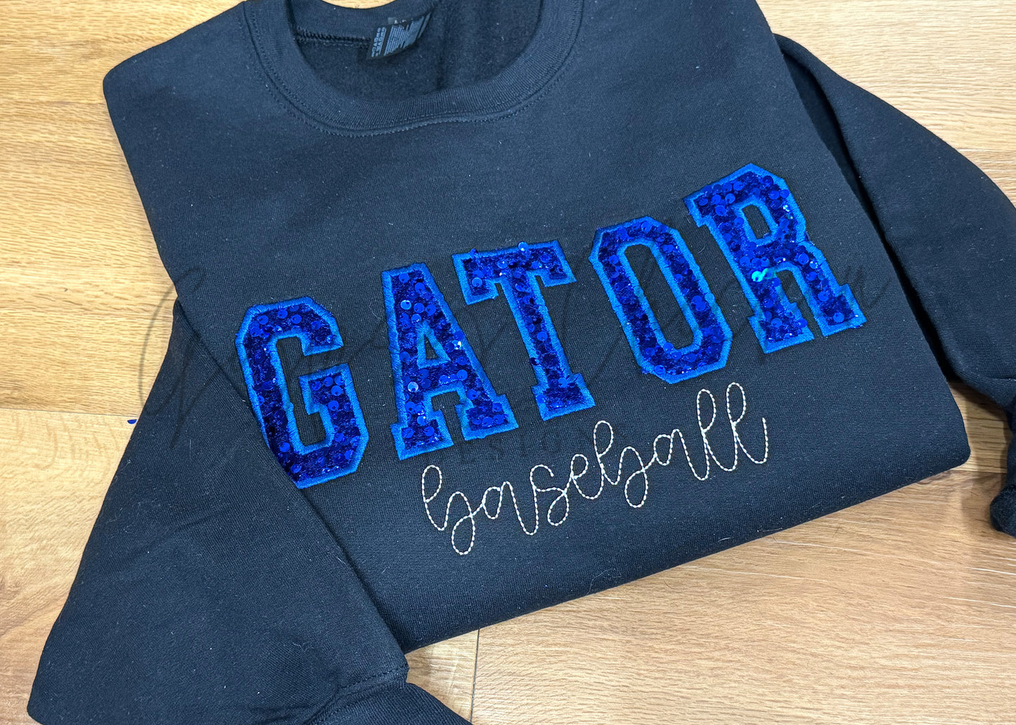 Sequin Varsity Embroidered Sweatshirt